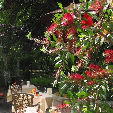 Neuenkirchen  Landidyll Wilminks Parkhotel מראה חיצוני תמונה