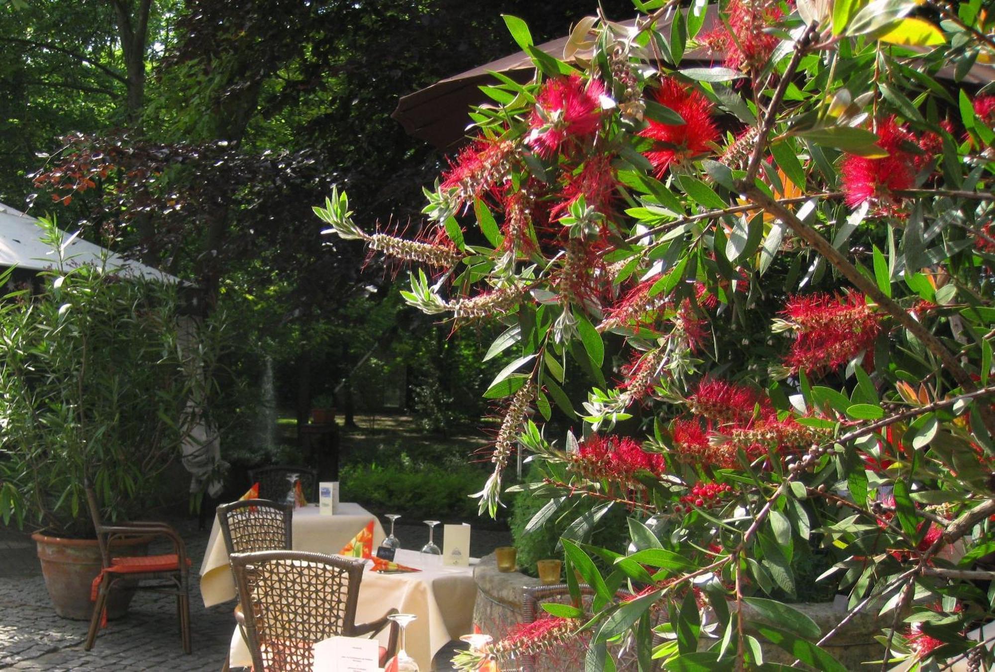 Neuenkirchen  Landidyll Wilminks Parkhotel מראה חיצוני תמונה